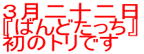 R\ w΂ǂx ̃gł